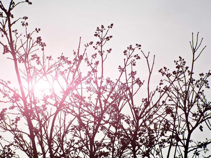 sudoku relaxation mode screenshot 5